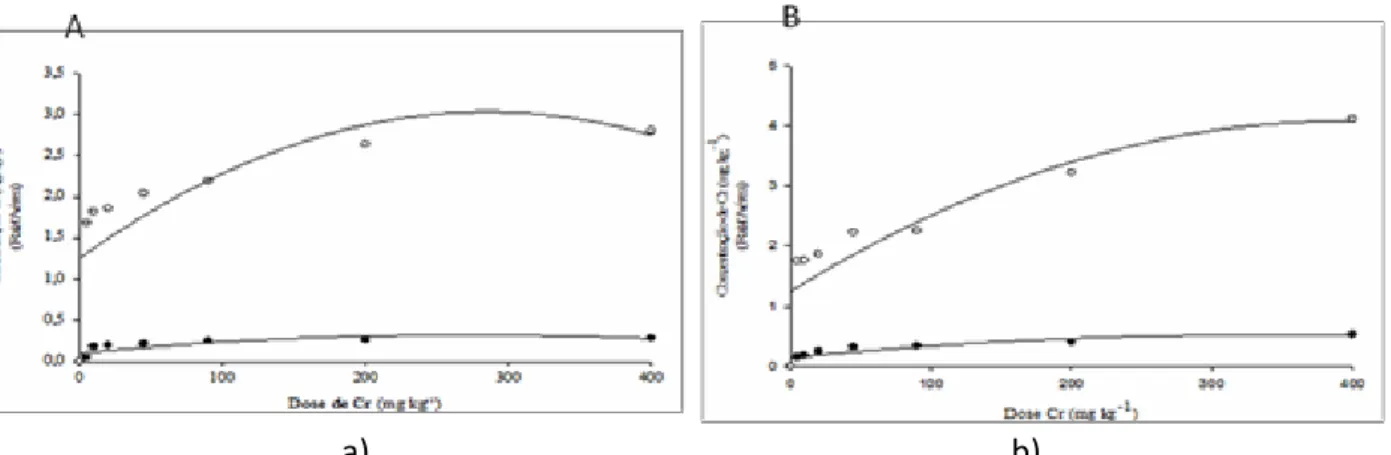 Figura 2: Diferentes concentrações de Cr na parte aérea e raiz – a) cultura do milho cultivado em CXbd; b) cultura  do feijão cultivado em CXbd