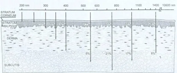 FIGURA 9:  Profundidade de penetração dos comprimentos de onda na pele. 
