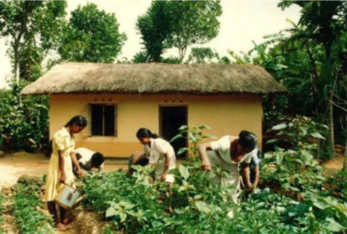 Figura 07 – Exemplo de habitação rural em adobe do projeto 1 Milhão de casas em Sri Lanka no sul da Ásia
