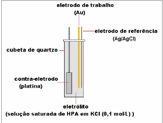 Figura 10. Sistema eletroquímico para o estudo espectroscópico UV-VIS. 
