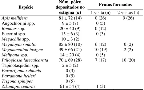Tabela  4. Testes  de  eficiência  de polinização  dos  visitantes florais em Campomanesia  phaea  através do número médio de grãos de pólen ± desvio padrão depositados no estigma (n=número  de visitas) e formação de frutos com uma e duas visitas (n=número