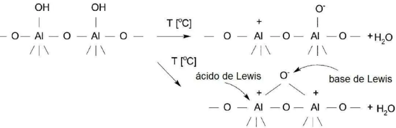 FIGURA  2:  Representação  dos  sítios  ácidos  e  básicos  de  Lewis  considerados  como os centros catalíticos na superfície da alumina 29 