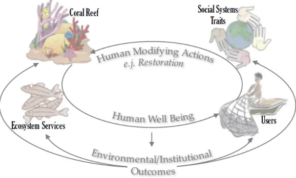 Figure 1. Coral reef SES’s Framework: a guide to analyse coral reef social-ecological systems