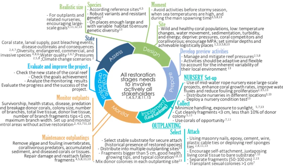Figure 2. Coral reef Restoration Framework: a guide to restore a Coral Reef. (The literature used to develop this figure is related to the code number in Table 1)
