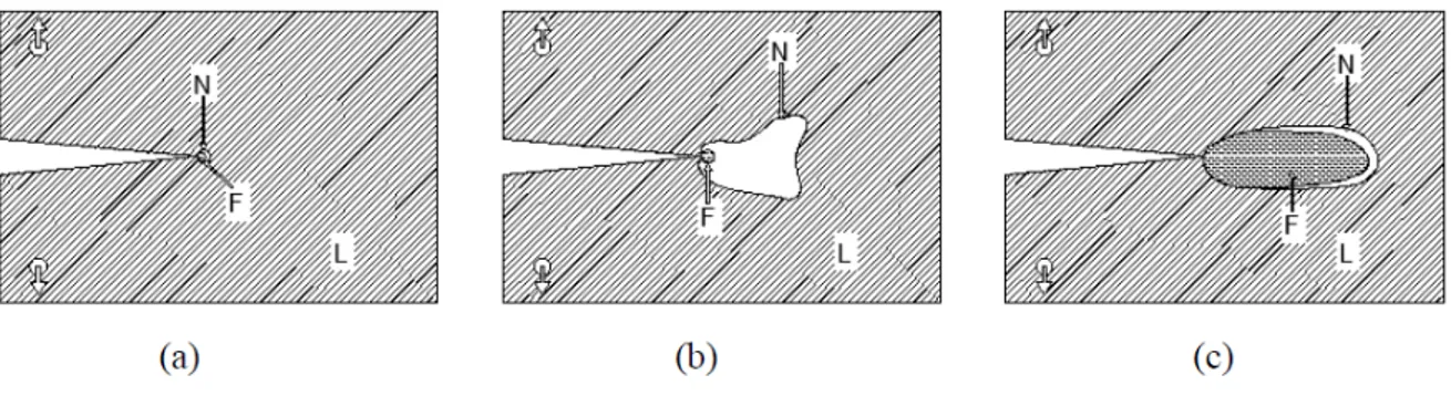 Figura 5.8 Características da zona de fraturamento F em relação à zona de processos não lineares N e a região  linear L para diferentes materiais: (a) Frágeis, (b) Dúcteis, (c) Quase frágeis