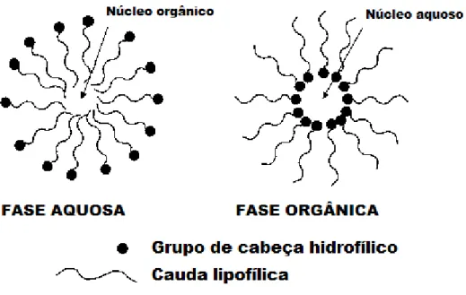 Figura 3 - Representação de uma micela e de uma micela reversa(Sun, 2002). 