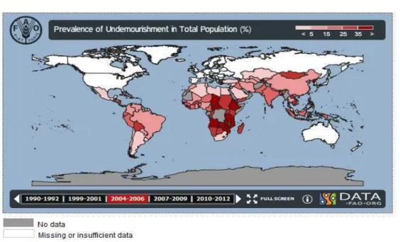 Gráfico 10: Mapa de Fome Mundial (2004-2006) 