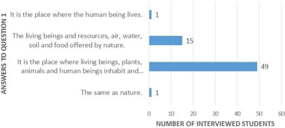 Figure 2: Answers to question 1 – "what is the environment?" 