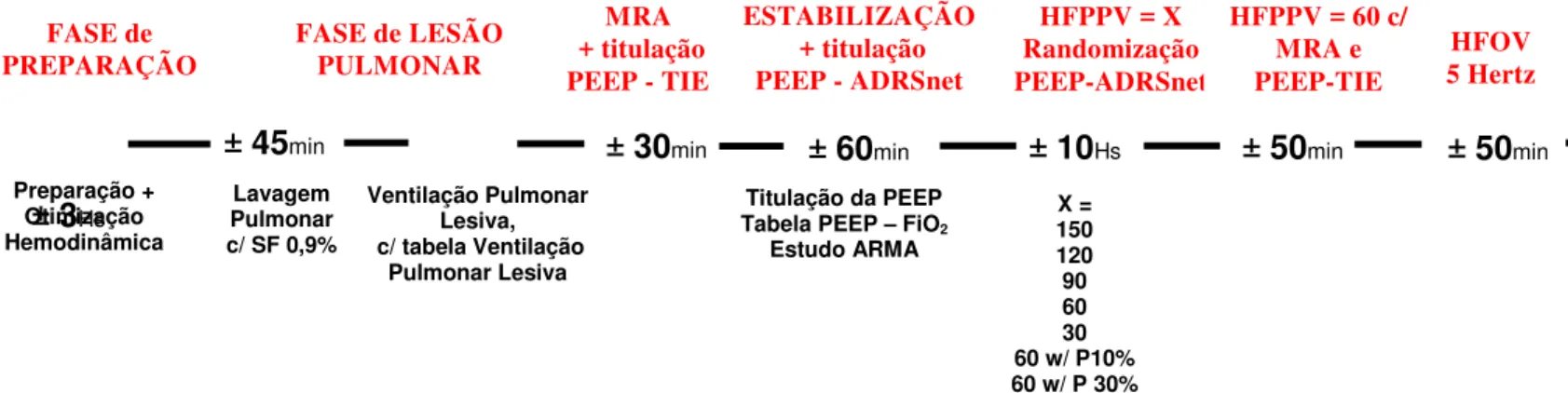 Figura 2  –  Linha do tempo com as fases do estudo 