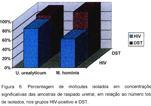 Figura 6. Percentagem de molicutes isolados em concentrações significativas das amostras de raspado uretral, em relação ao número total de isolados, nos grupos HIV-positivo e DST.