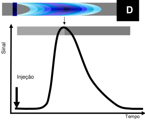 Figura 3.  Perfil  do  sinal  transiente  tipicamente  obtido  em  FIA  e  ilustração  do  gradiente  de  concentração na zona de amostra