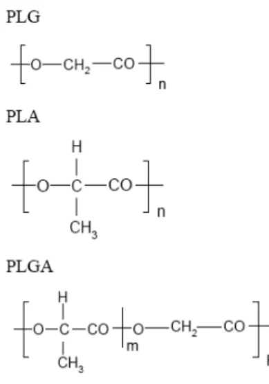 Figura 3: Estrutura química dos poliésteres PLG, PLA e seu copolímero PLGA. 