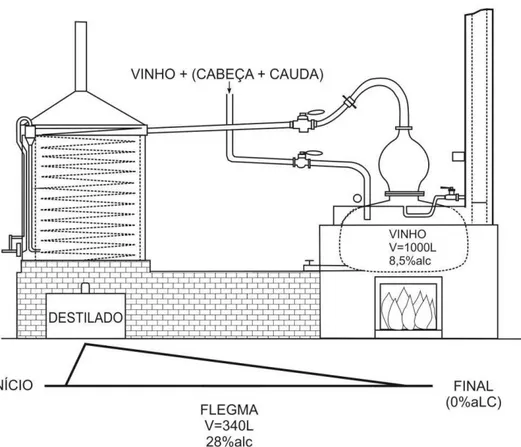 Figura 4  –  Representação esquemática do modelo da primeira destilação (dos vinhos) 