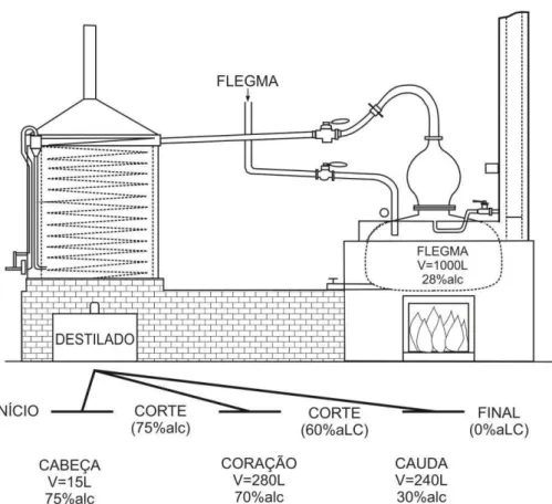Figura 5  –  Representação esquemática do modelo da segunda destilação (dos flegmas) 