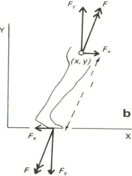 Figura 1: Força aplicada ao solo e suas componentes. Fonte: (NADALIN, 2010). 