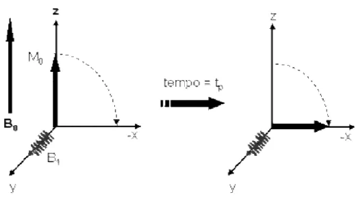 Figura 1.6: Efeito do pulso de rf na magnetização resultante, em um referencial rotativo [3] 