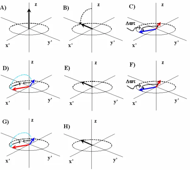Figura 1.9: Representação vetorial do efeito da seqüência de pulsos do método de CPMG sobre o  sinal de RMN 
