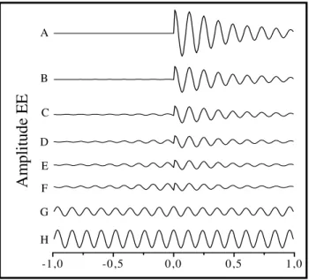 Figura 2.10: Espectros de RMN- 1 H no estado estacionário de óleo vegetal com T 1 =138ms, T 2 =53ms