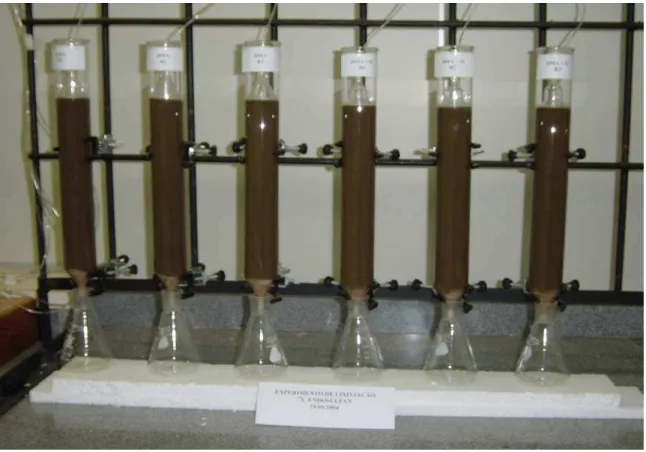 Figura 7 – Foto ilustrativa mostrando as colunas de vidro preenchidas com solo PV para         o estudo de lixiviação de endosulfan na presença e ausência de Natur’l Oil 