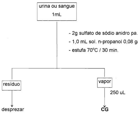 Figura  2  - Fluxograma  da  técnica  de  separação  por  head  space para quantificação de etanol em amostras  de sangue e urina por cromatografia gasosa