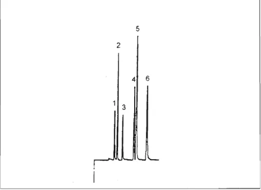 Figura 3 - Perfil cromatográfico de vapores de uma amostra  de  urina  adicionada  de  acetaldeído,  acetona,  etanol,  isopropanol, metanol e n-propanol