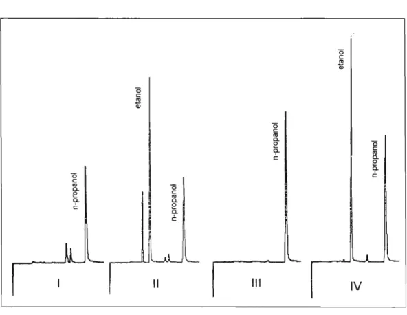 Figura  5  - Perfil  cromatográfico  de  sangue  isento  de  etanol  (I),  sangue  de  indivíduo  após  5  horas  da  ingestão  de  uma  dose de 0,68  g etanol  por kg  de  peso  corpóreo  (11),  urina  isenta de etanol  (111)  e urina de  indivíduo após  