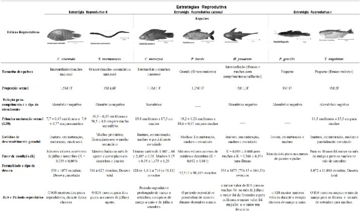 Tabela 2: Táticas e Estrátegias reprodutivas de peixes de água doce do Estado do Rio Grande do Norte