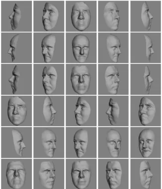 Figure 3: Examples of other templates (top 3 rows) and tested faces (bottom 3 rows).