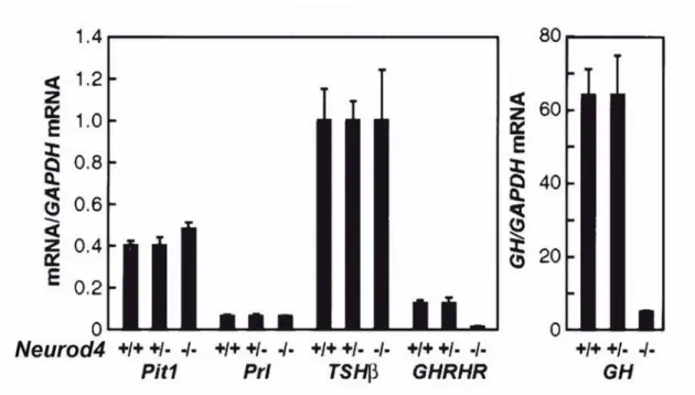 Figura 3 –   RT-PCR  quantitativo  do  Pit (Pou1f1)1, Prl, TSHß, GHRHR E GH no  dia embrionário E17.5 de hipófises de camundongos mostra  significativa e específica redução do mRNA do GH e GHRHR 