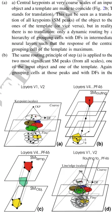 Fig. 2 Dynamic routing principle: a keypoints in scale space plus the central keypoint (CKP) at the coarsest scale, b the routing  represen-tation using the CKP and the highest saliency map peak (SMP) for the initial routing with translation (T), rotation 