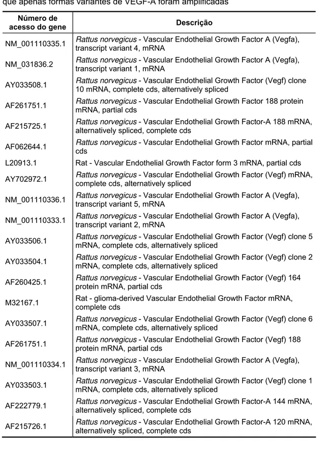 Tabela 1 – Variações que podem ser amplificadas com o primer de VEGF-A. Notar  que apenas formas variantes de VEGF-A foram amplificadas 