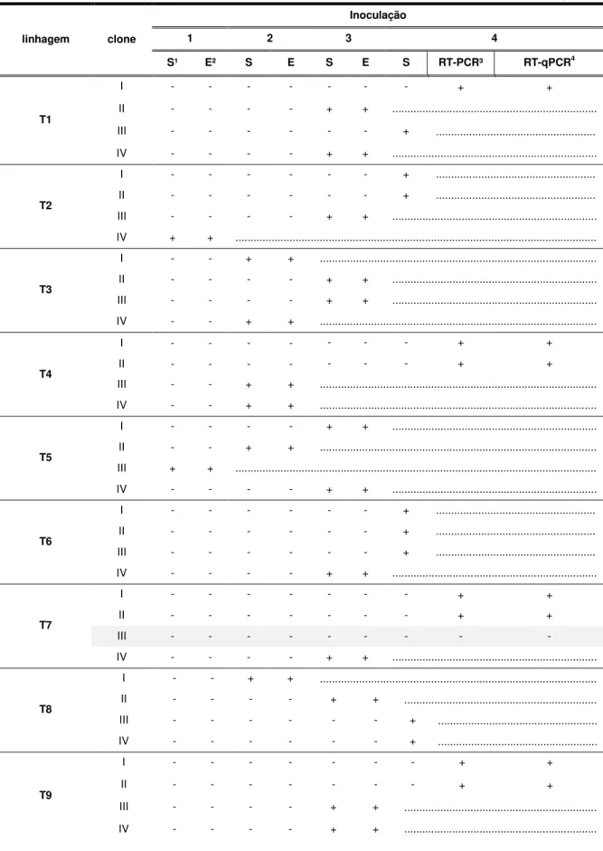 Tabela 1  –  Avaliação de resistência ao CABMV em linhagens transgênicas de P. alata.     (continua)  linhagem  clone  Inoculação 1 2 3  4  S¹  E²  S  E  S  E  S  RT-PCR³  RT-qPCR 4 T1  I  -  -  -  -  -  -  -  +  + II - - - - + +  .........................