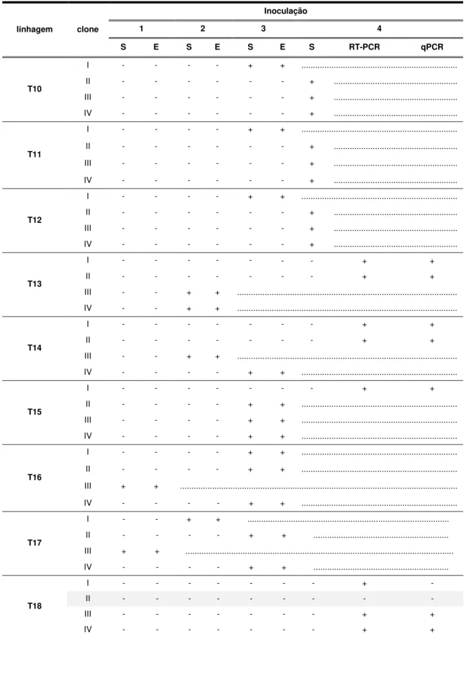 Tabela 1  –  Avaliação de resistência ao CABMV em linhagens transgênicas de P. alata   (continuação)  linhagem  clone  Inoculação 1 2 3  4  S  E  S  E  S  E  S  RT-PCR  qPCR  T10  I  -  -  -  -  +  +  .......................................................