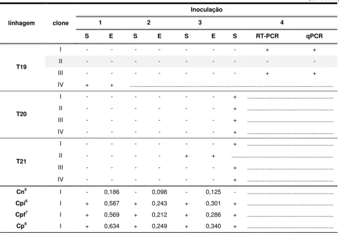 Tabela 1  –  Avaliação de resistência ao CABMV em linhagens transgênicas de P. alata  (conclusão)  linhagem  clone  Inoculação 1 2 3  4  S  E  S  E  S  E  S  RT-PCR  qPCR  T19  I  -  -  -  -  -  -  -  +  + II - - - - - - - - -  III  -  -  -  -  -  -  -  + 