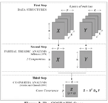 Figure 2. The COSTATIS Steps   