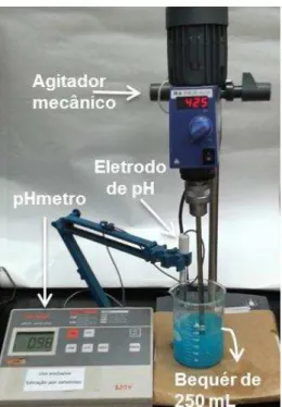 Figura 27. Foto do sistema usado nos ensaios de extração por solventes. 