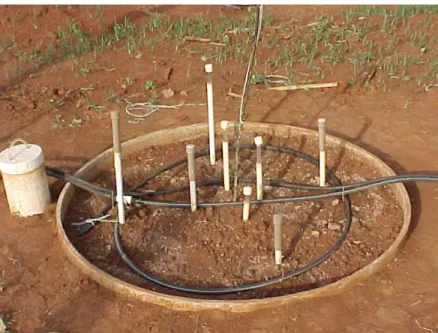 Figura 5 - Detalhe dos lisímetros com o sistema de irrigação, o sistema de drenagem e os  tensiômetros 