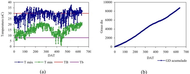 Figura 8 - Temperaturas máxima e mínima nos dois ciclos produtivos do maracujazeiro  amarelo (a); Graus dia acumulado em todo o período de produção (b) 