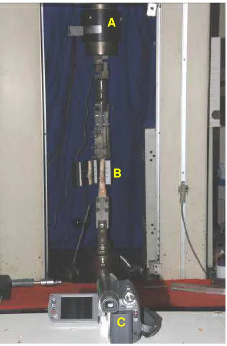 Figura  10  -  Corpo  de  prova  montado  à  máquina  de  ensaios,  evidenciando  o  gabarito  posicionado  junto ao tendão e à câmera de vídeo, focalizando o gabarito e o tendão