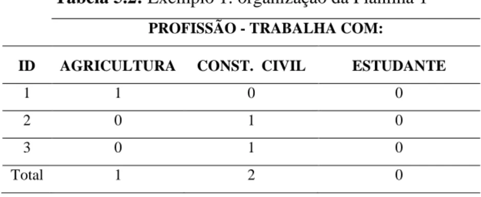 Tabela 5.2: Exemplo 1: organização da Planilha 1 