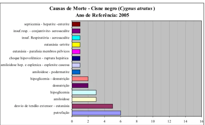 Gráfico 5  - Causas de óbito na população de Cisnes Negros (Cygnus  atratus) da FPZSP no ano de  2005- São Paulo - 2007  
