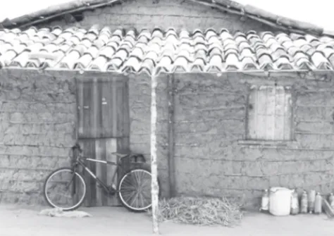 Figura 4.3 – Casa de taipa de um filho de assentados no terreiro                      dos pais (assentamento Arupema, Novembro de 2010)