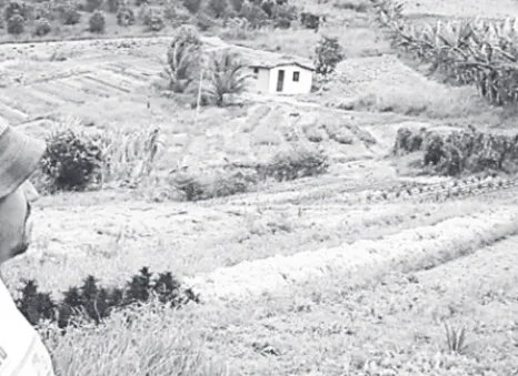 Figura 4.5 – Seu Joaquim. olhando a sua parcela e, ao fundo, a casa                     e horta do filho (assentamento Arupema, Outubro de 2010)