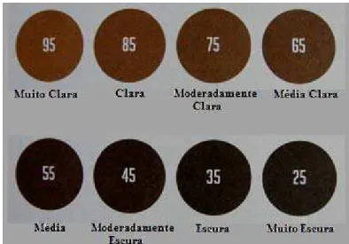 Figura 1. Classificação do grau de torra do café, segundo o sistema Agtron/SCAA  roast classification color disk (27) (modificada)