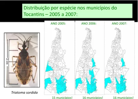 FIGURA 16 – Distribuição do Triatoma sordida nos municípios de Tocantins  