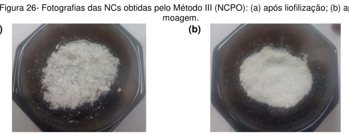 Figura 26- Fotografias das NCs obtidas pelo Método III (NCPO): (a) após liofilização; (b) após  moagem