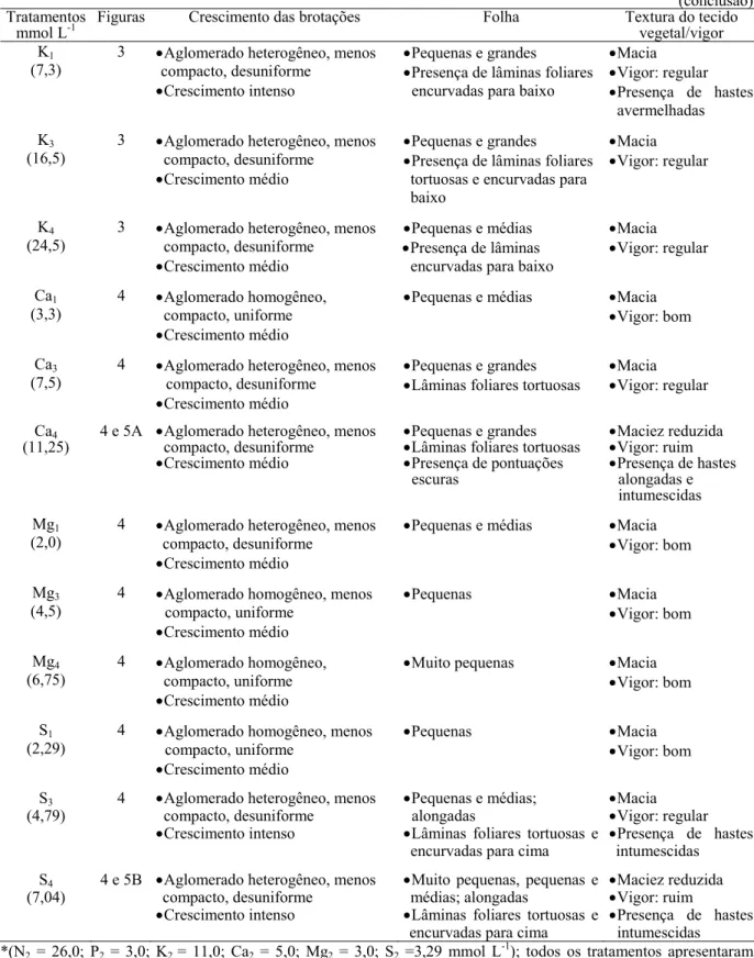 Tabela 12  – Características dos explantes observadas visualmente relativas ao crescimento, textura e vigor das  brotações de Eucalyptys grandis cultivadas in vitro em diferentes concentrações de macronutrientes  aos 21 dias de cultivo 