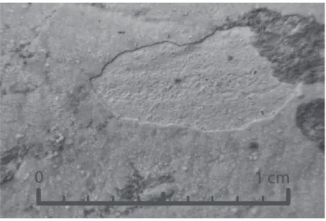 Fig. 5 – Depósito de calcário nas paredes internas de um jarro da forma KAOL F1  (FIG
