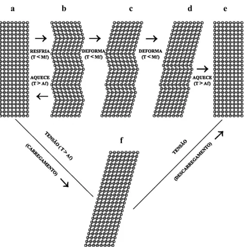 Figura 2.9 – Mecanismo do efeito de memória de forma e efeito superelástico (Otsuka,  1998 modificado)