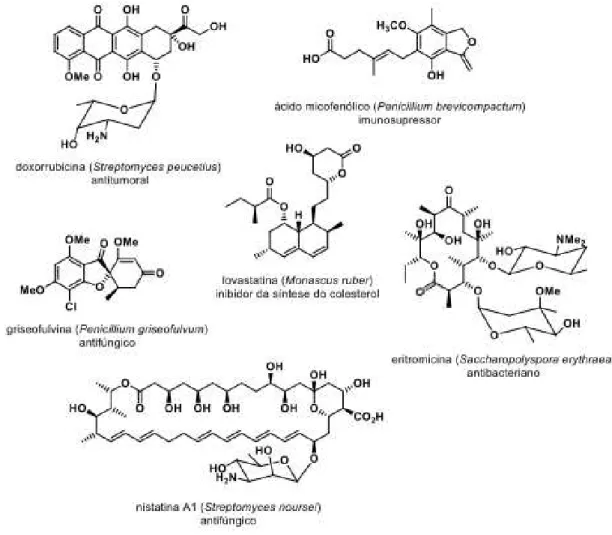Figura  7.  Exemplos  de  policetídeos  utilizados  como  fármacos,  isolados  de  microrganismos,  e  suas  atividades biológicas (Dewick, 2002)